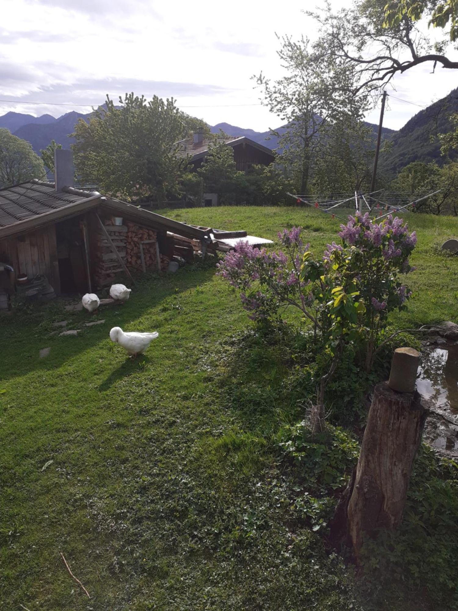 Berggasthaus Kraxenberger